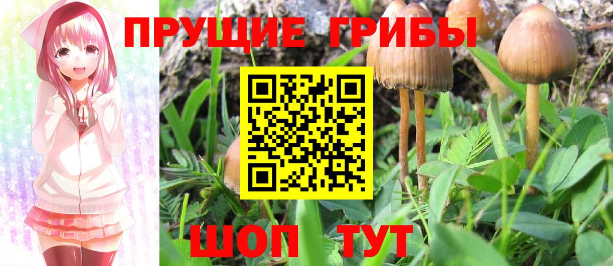 Галлюциногенные грибы GOLDEN TEACHER Нарткала