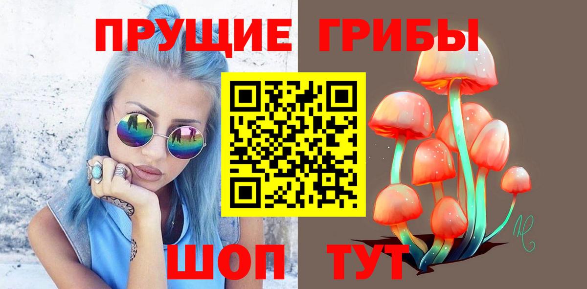 Галлюциногенные грибы прущие грибы  Вход с VPN  купить   Нарткала 